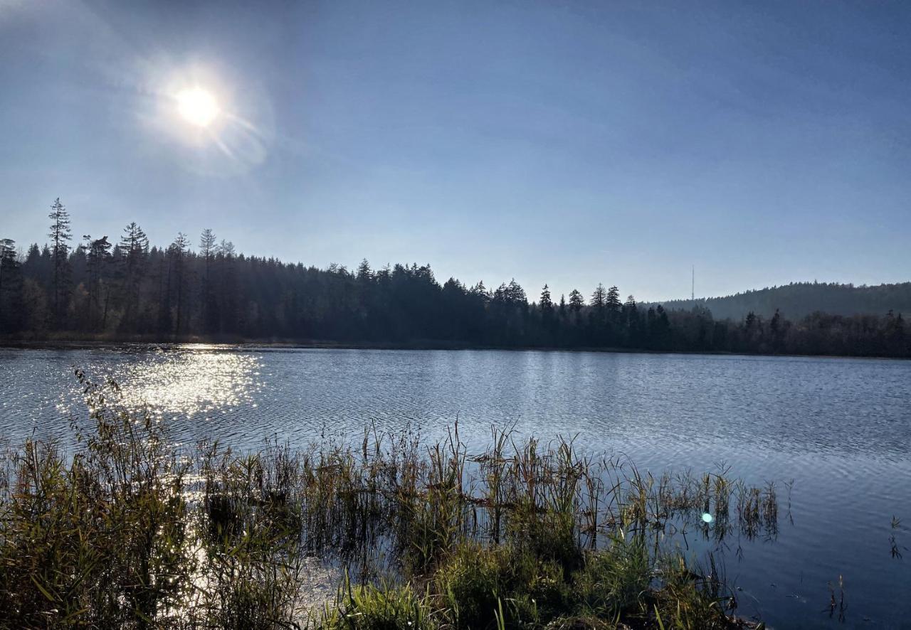 U Prokopu Villa Telč Dış mekan fotoğraf